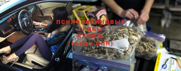 а пвп мука Богданович